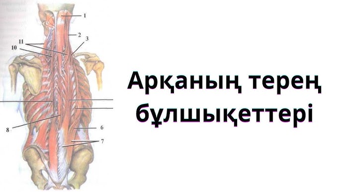 Қызметші жұмысқа онлайн порно Үштік секс туралы порно видео