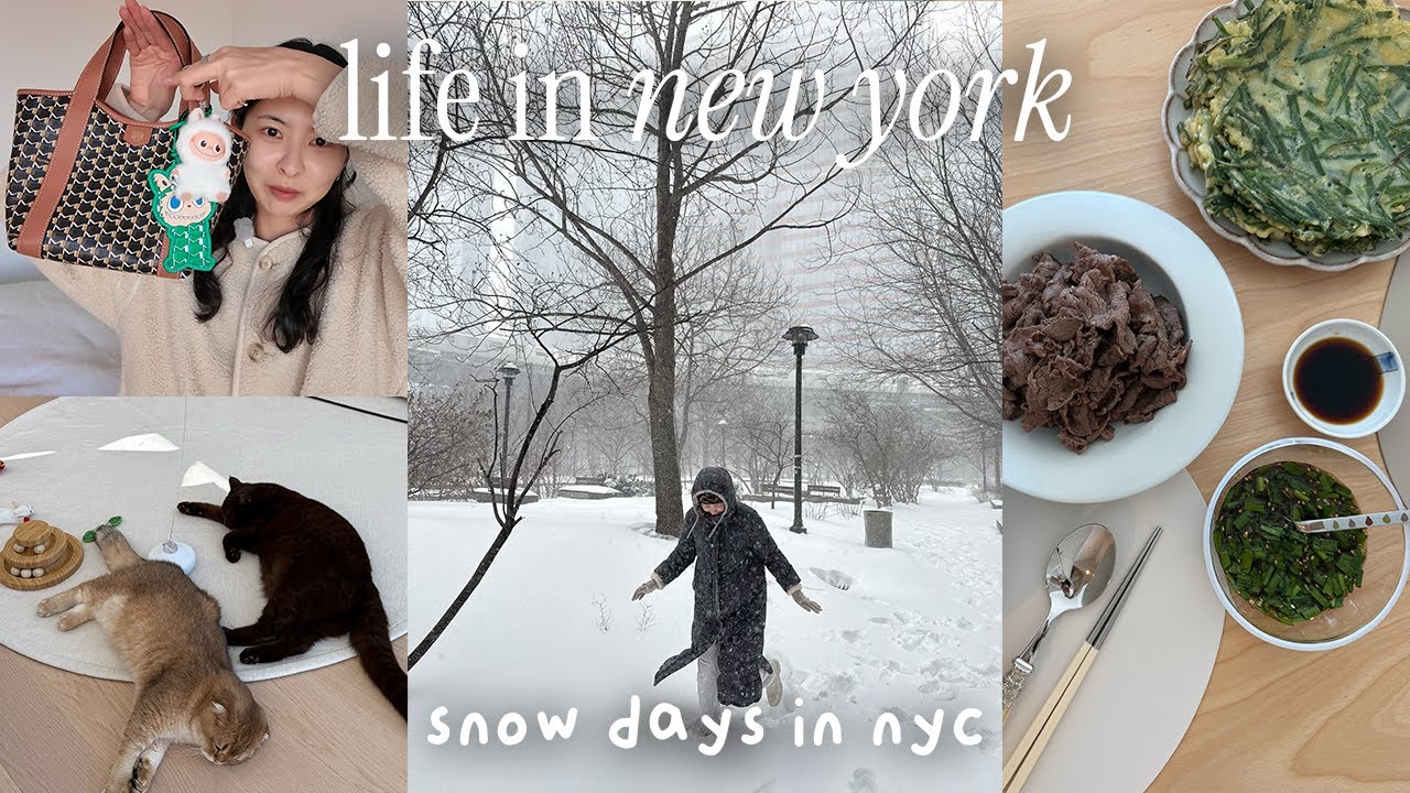 Видеоблог из Нью-Йорка | Подготовка к зимней буре ❄️ Уютные снежные дни, корейская домашняя еда, ...