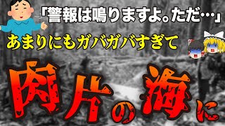 【ゆっくり解説】5800万円を積んだ飛行機が墜落…次々と驚愕の事実が明らかになっていった航空機事故「トリガナ航空267便墜落事故」