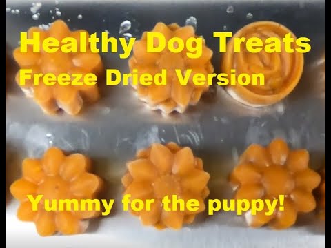 Healthy Dog Treats - Freeze Dried