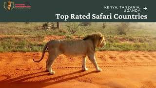 Create Your Amazing Trip with Steve and Richard Tours Safaris
