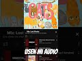 usen mi audio