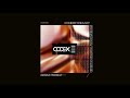 Dominik Vaillant, Superstrobe, Torsten Kanzler  - Sizzle (Original Mix)  [CODEX] // Techno Premiere