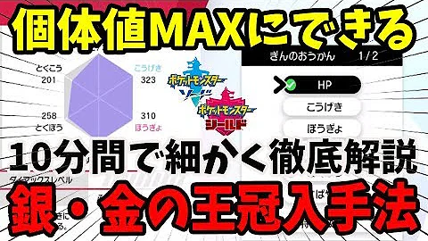 ポケモンシールドぎんのおうかんがいっぱいゲットするほうほう