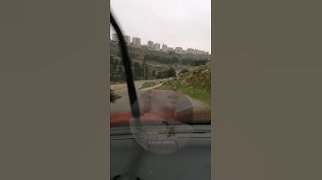 سورة القارعة بصوت القارئ سليم باهانان #سورة_القارعة #قرآن #قران_كريم #قران