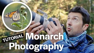 How to Photograph Monarch Butterflies, with Court Whelan, Ph.D. by Natural Habitat Adventures 4,896 views 1 year ago 6 minutes, 55 seconds