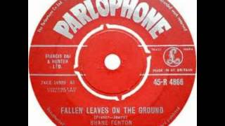 Video thumbnail of "Shane Fenton - Fallen Leaves On The Ground"