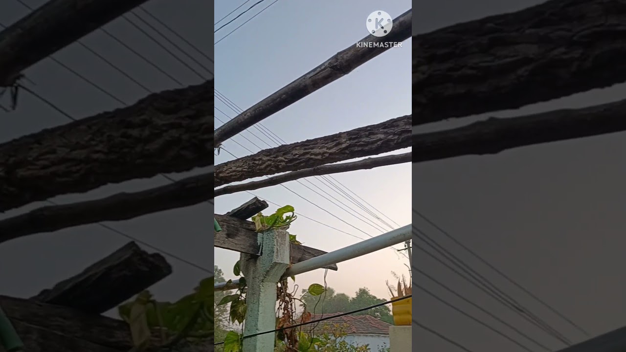 Morning time village