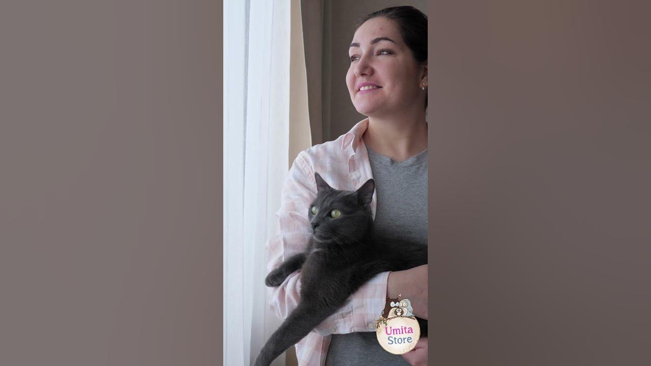 Why don't you clean out the cat litter box while pregnant? toxoplasma 