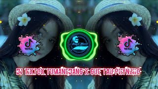 DJ TIKTOK TUMENEDANG X GUE TAU PHYNZIIO FUL BAS