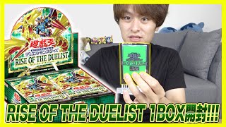 ライズ・オブ・ザ・デュエリスト1BOX開封！プリレアホスィイ！【遊戯王OCG】RISE OF THE DUELIST