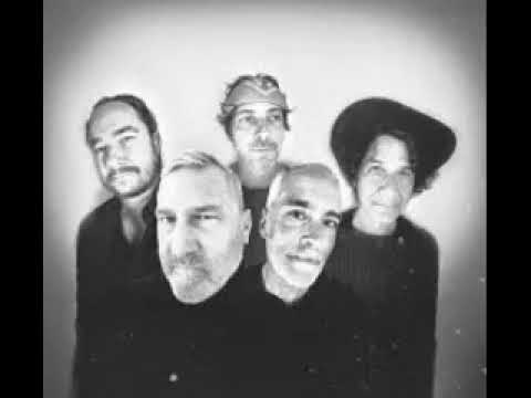 The Afghan Whigs  - House of I