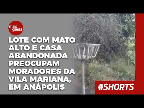 Lote com mato alto e casa abandonada preocupam moradores da Vila Mariana, em Anápolis