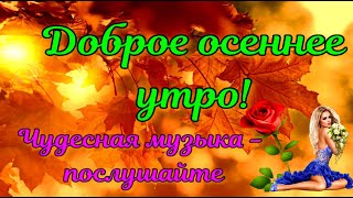 Доброе утро, хорошего дня. Красивые пожелания доброго утра. С Добрым утром. С новым днем.