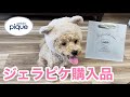 【マルプー】ジェラピケで犬用品購入！！！クマになりました！！！