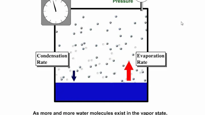 Vapor Pressure, Equilibrium Vapor Pressure, and Relative Humidity