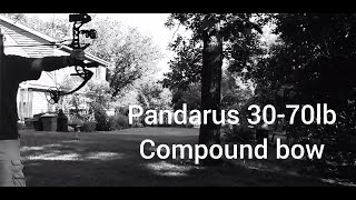 Pandarus 70 Bow Amazon Find