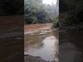 Melihat Lebih Dekat Jalur Tempur Sungai Brantas! Berani ke Sini?