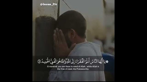 أرح قلبك -قرآن كريم بصوت ياسر الدوسري /حالات واتساب دينية /مقاطع دينية قصيرة /مقاطع إنستقرام دينية