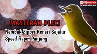 MASTERAN PLECI NEMBAK ZIPPER KENARI SEJALUR SPEED RAPET PANJANG