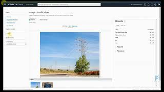 Обучение пользовательской модели классификации изображений в OCI