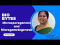 Microsporogenesis and Microgametogenesis | Quick Bytes | Dr Sarita Kothari Bio Excel Nagpur.