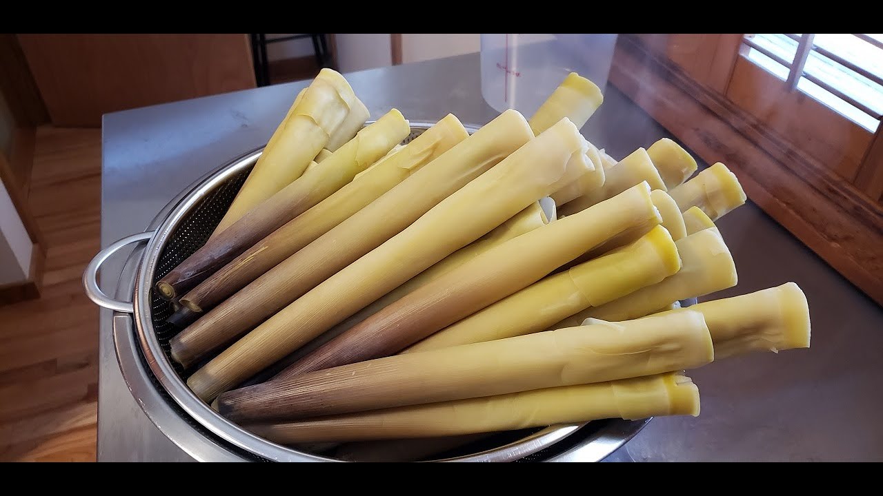 How to Cook Fresh Bamboo Shoots 