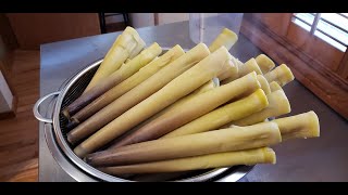 How to Cook Fresh Bamboo Shoots
