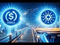 Sol #$MDN Ca: 6tB6j4d2XdN63fgnQnRdxymCJq6SubgKc6raNrF7pump