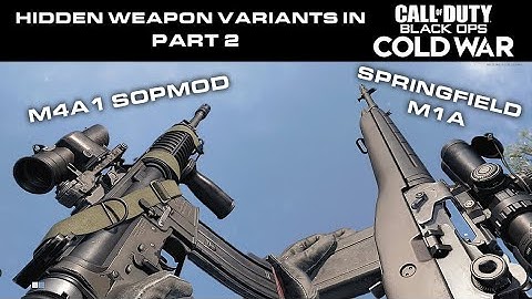 Black Ops Cold War - Creating Hidden Weapons Part 2