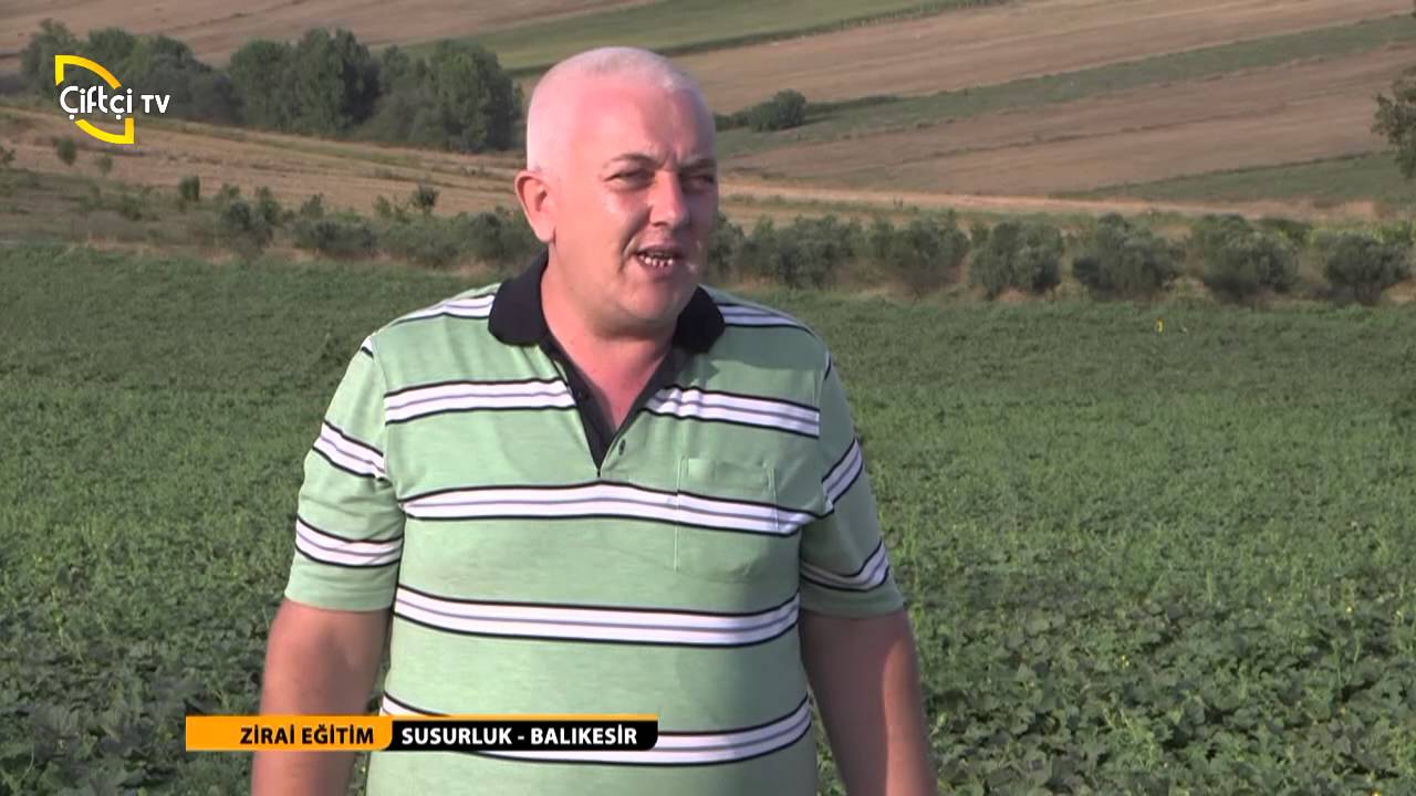 ZİRAİ EĞİTİM/AÇIKTA KAVUN YETİŞTİRİCİLİĞİ