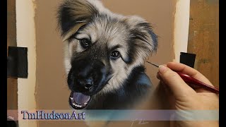 Painting a realistic german shepherd mix pup in acrylic - art timelapse screenshot 3