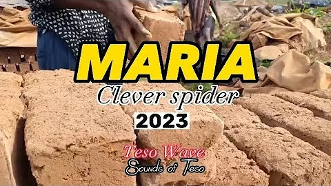 Clever Spider - Maria (HD Dance Video New Teso Music Teso Songs 2023) #tesomusic #teso #tesosongs