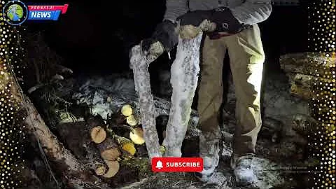 in Arctic Survival Shelter - Solo Bushcraft Camping & Blacksmithing.