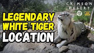 White Tiger Location Crimson Desert – Most Players Miss This 🐯 4K 60FPS #crimsondesert
