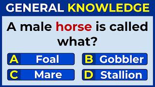 Can You Answer These 40 General Knowledge Questions? | Ultimate GK Quiz Challenge #40