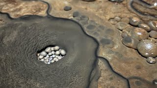 Amazing Deep Mine With Rare Pearls! AMAZING Cave Pearl Finds!