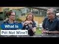🔵 Trail Estate Winery Pét Nat in Prince Edward County