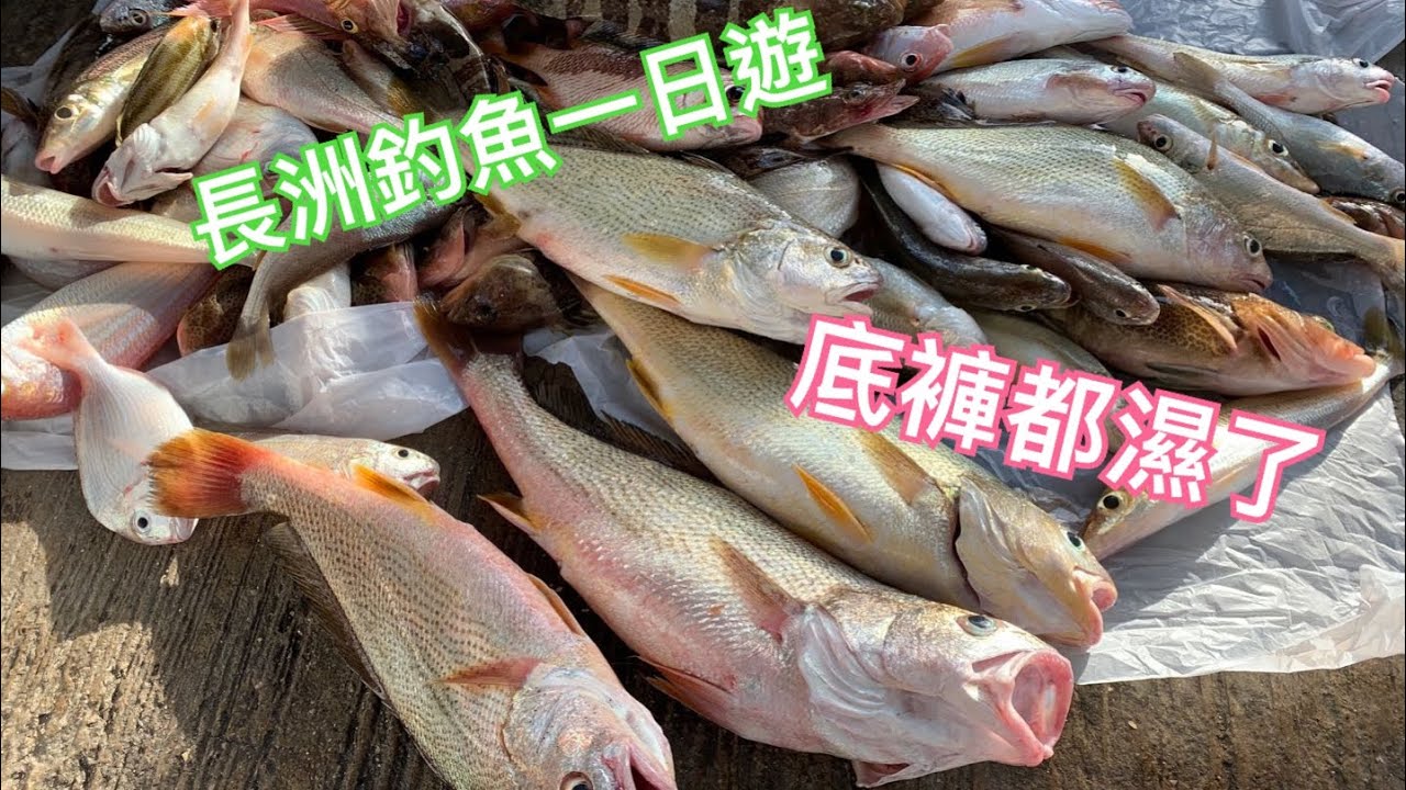 香港釣魚之長洲釣魚一日遊 淋雨底褲都濕了 跟住阿飛釣魚 香港艇釣 Youtube