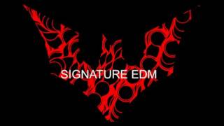 Signature EDM (launchpad essential EDM)