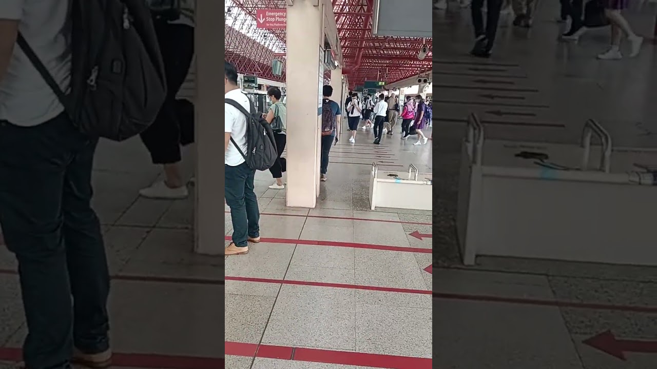 Singapore's largest elevated train station!