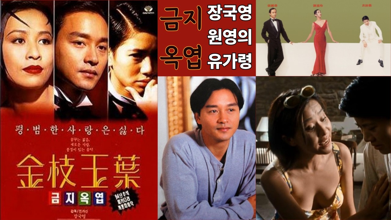 #장국영,#원영의,#유가령—평범한 사랑은 싫다~!남자든 여자든 나는 널 사랑해!이제는 다시볼 수 없는 피아노 치며 노래 부르는 장국영!!재미있고 귀엽고 사랑스러운 영화!#금지옥엽,