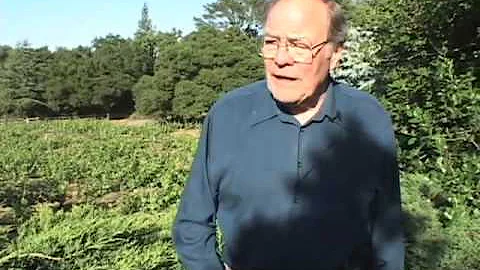 La Questa Vineyards - Mary Loveless