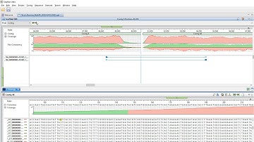 DNASTAR - De Novo Genome Assembly in Lasergene Genomics