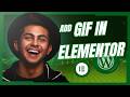 How to Add Gif in Elementor (Full Guide) | Wordpress Tutorials