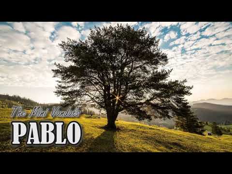 The Mini Vandals - Pablo
