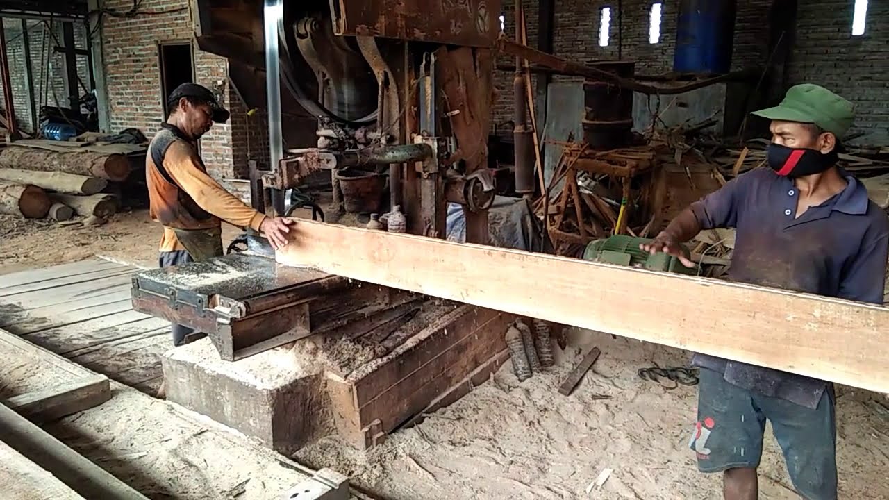 Sawmill panglong kayu  pengolahan kayu  hutan peluang 