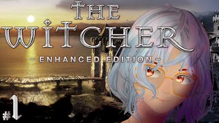 [The Witcher: Enhanced Edition] First time playing!