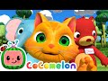 Name Song CoComelon Furry Friends Animals For Kids