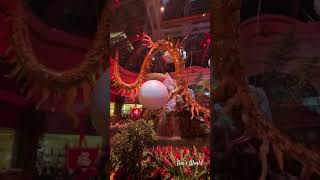 Infinite Prosperity - Year of the Dragon #lunarnewyear #asian #bellagio #lasvegas